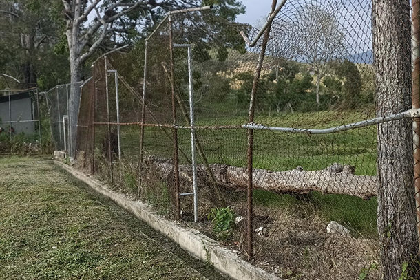 photo_12_2024-04-11_12-38-02 (1)